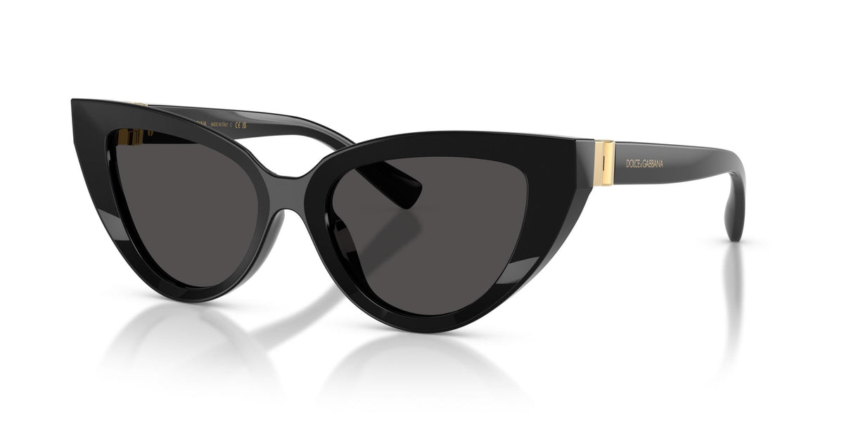 Dolce&Gabbana DG4497