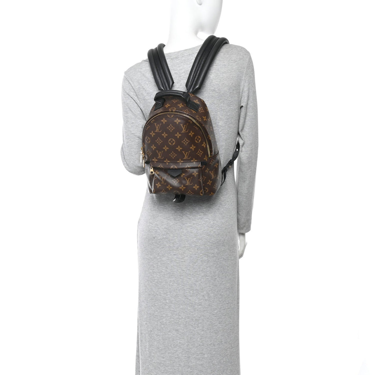 Monogram Palm Springs Backpack PM