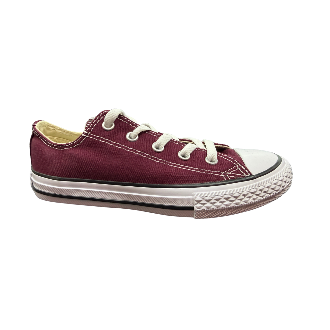 Converse Chuck Taylor All Star Seasonal - Youth Sneakers