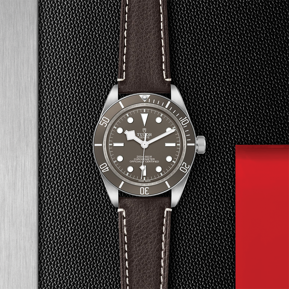 Black Bay 58 925 39mm - Taupe on Leather Strap