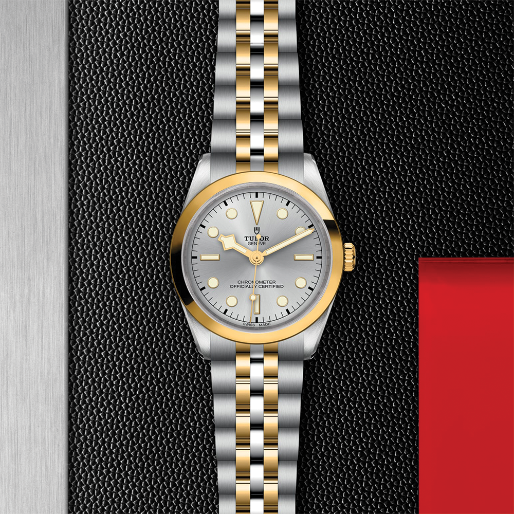 Black Bay One S&G 36mm - Silver on Bracelet
