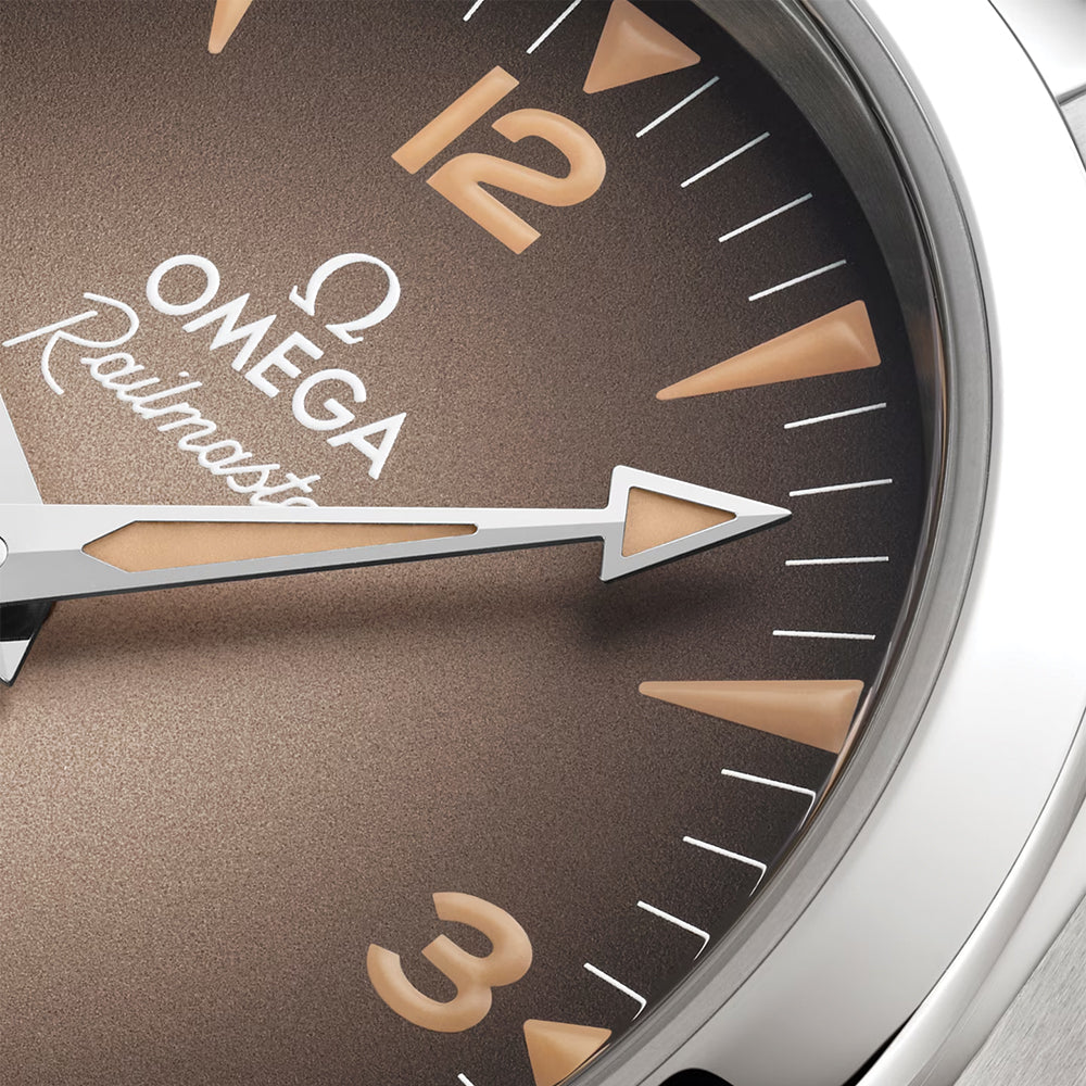 Seamaster Railmaster 38mm - Brown on Bracelet