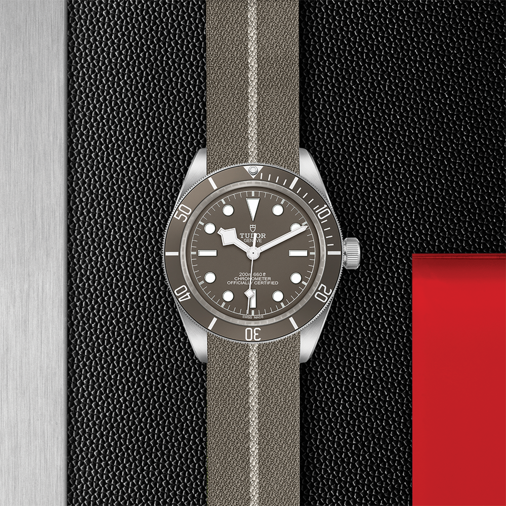 Black Bay 58 925 39mm - Taupe on Fabric Strap
