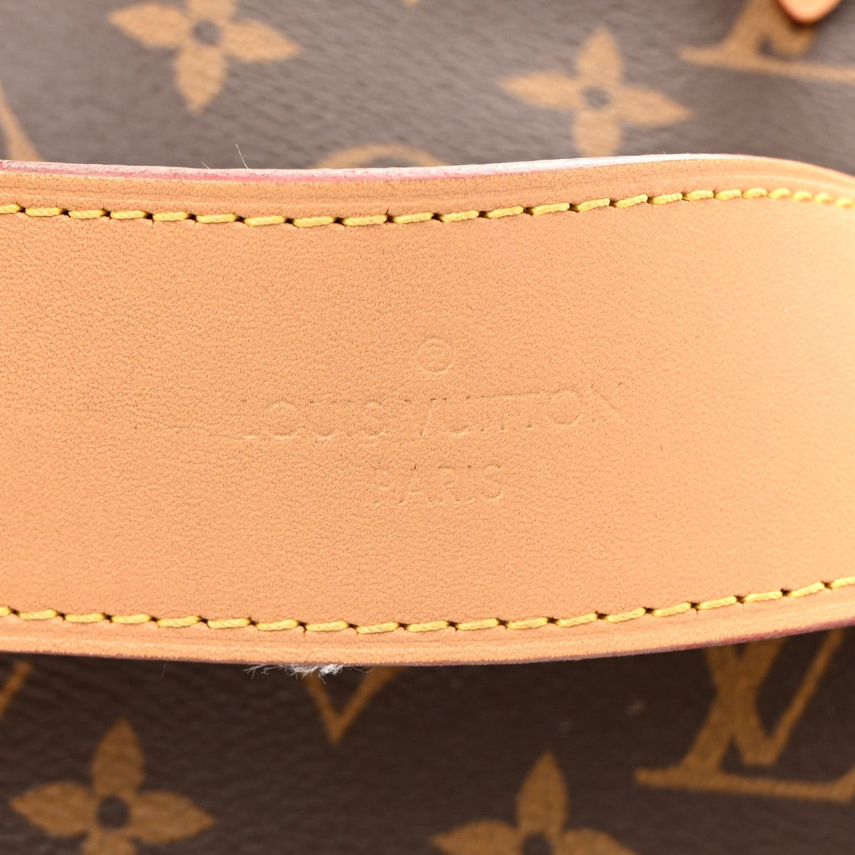 Monogram CarryAll MM