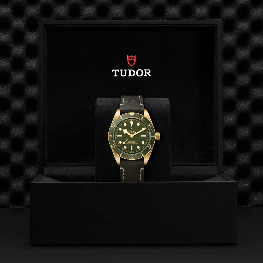 Black Bay 58 18K Yellow-Gold 39mm - Green on Leather Strap w/ Extra Fabric Strap
