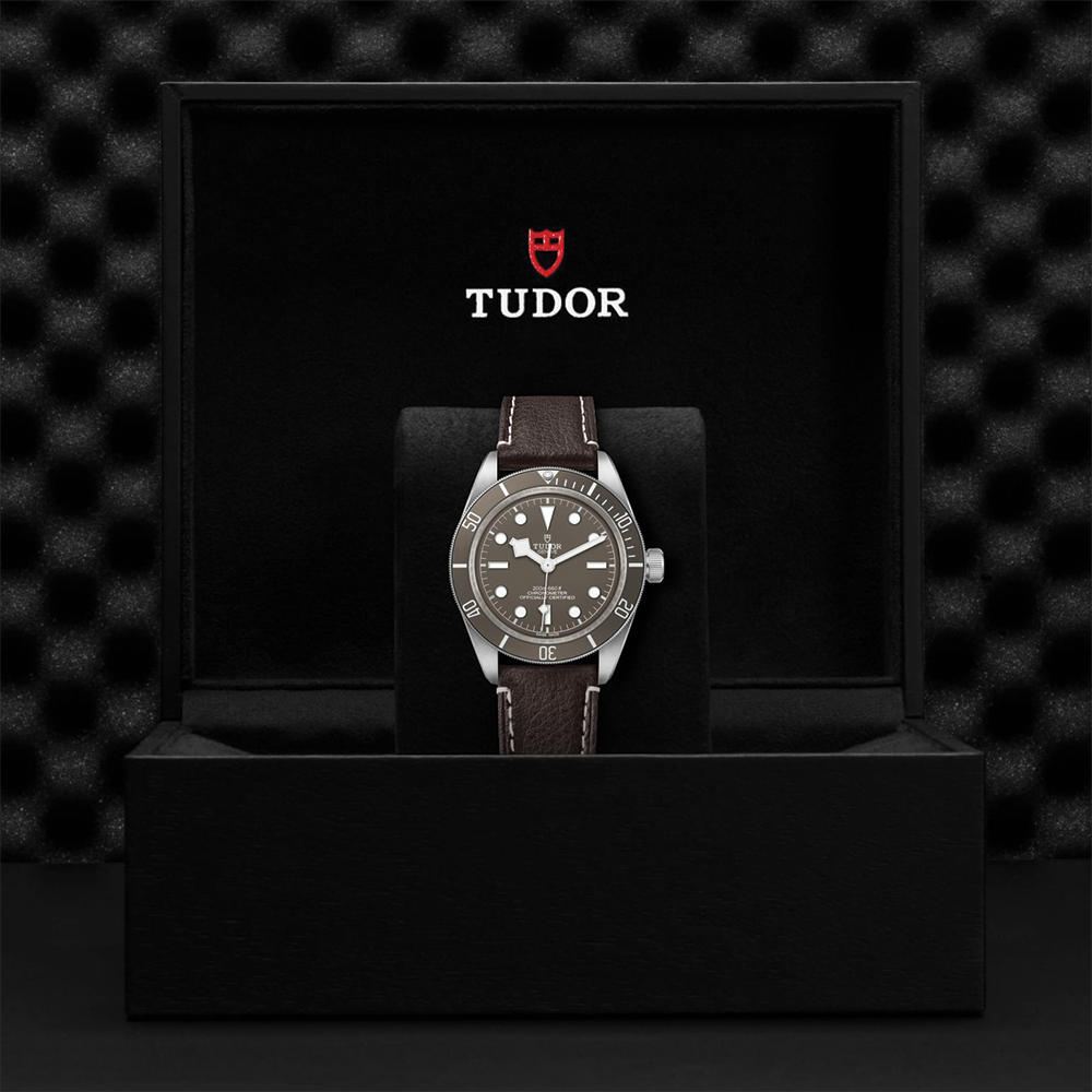 Black Bay 58 925 39mm - Taupe on Leather Strap