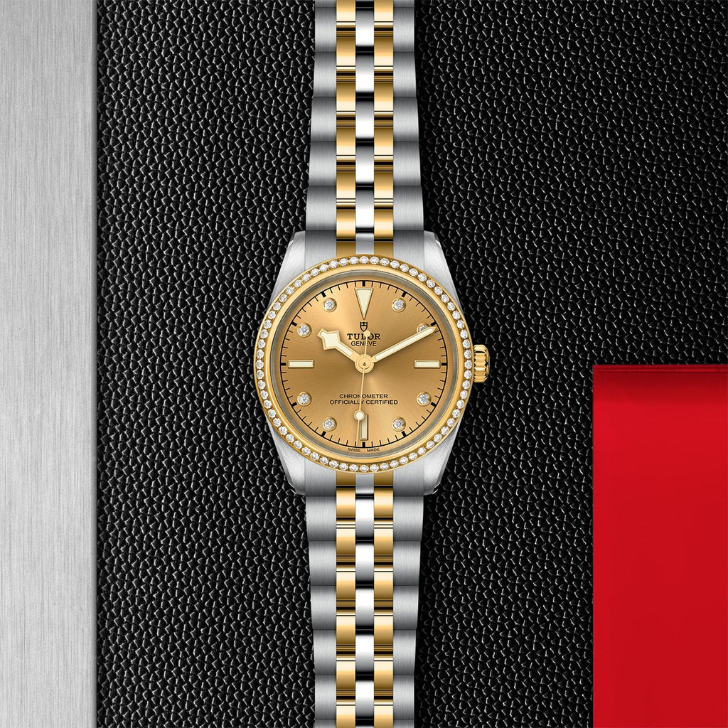 TUDOR Black Bay 31 S&G M79613-0007
