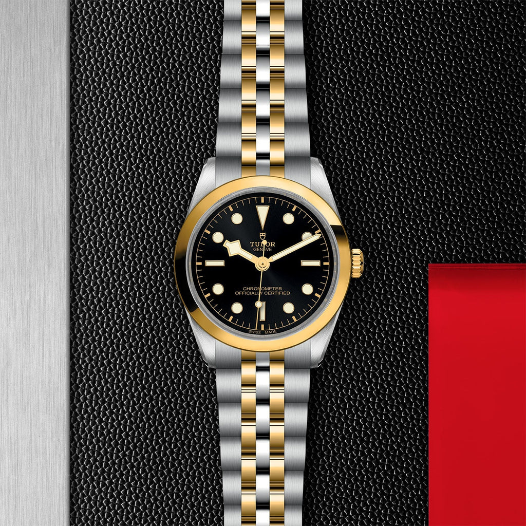 TUDOR Black Bay 36 S&G M79643-0001
