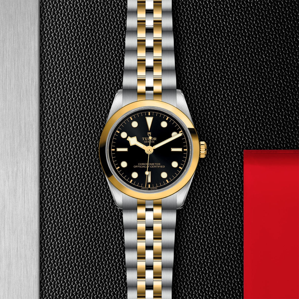 TUDOR Black Bay 36 S&G M79643-0001