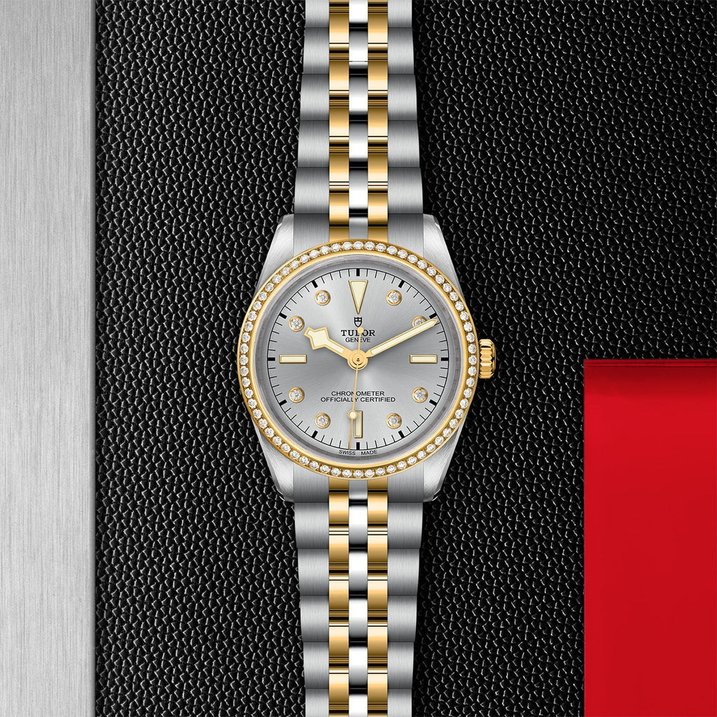 TUDOR Black Bay 36 S&G M79653-0006
