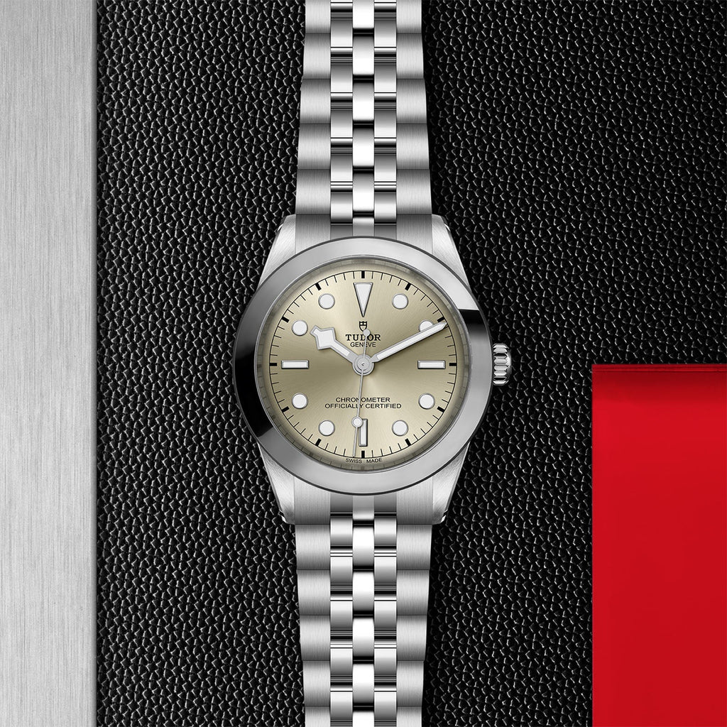 TUDOR Black Bay 39 M79660-0003