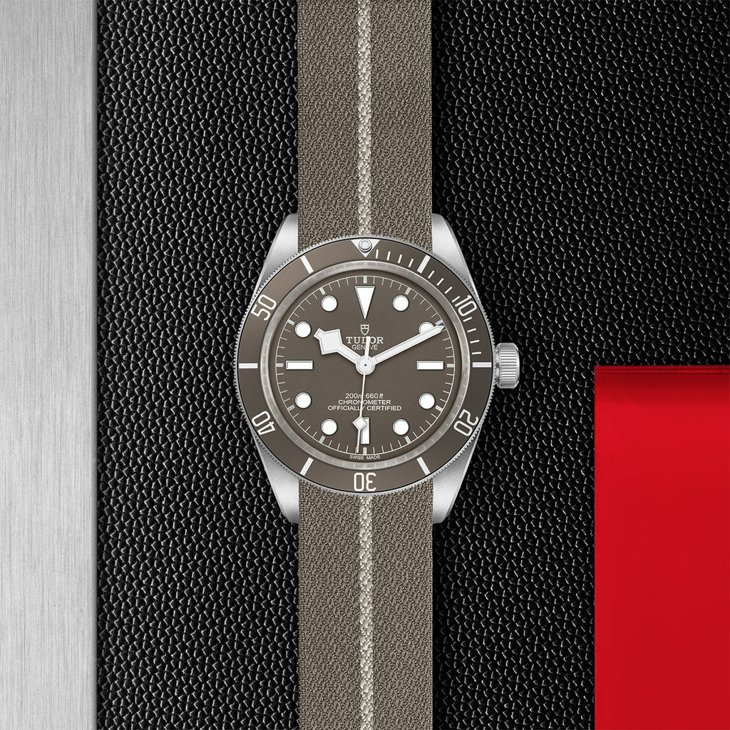 TUDOR Black Bay Fifty-Eight 925 M79010SG-0002