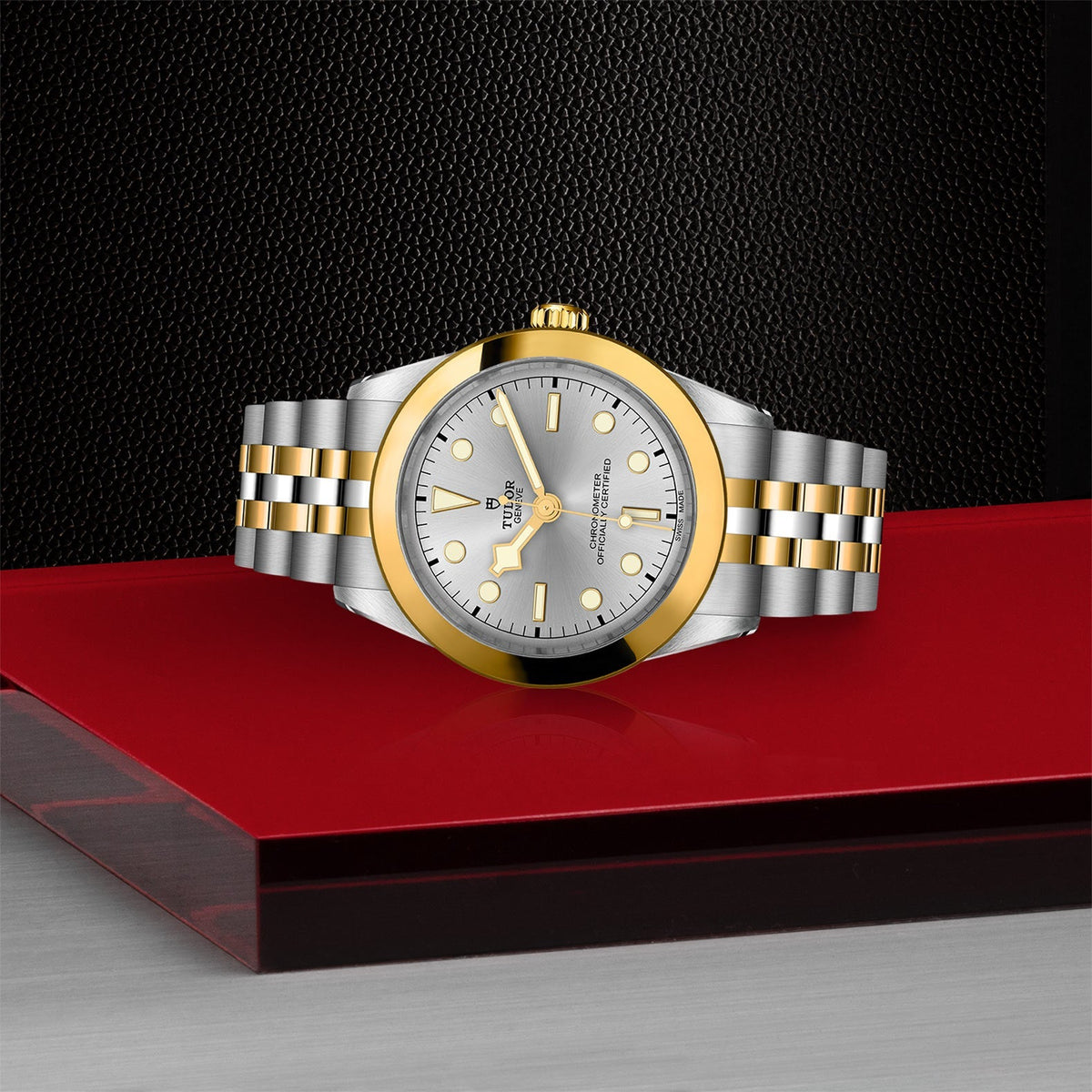TUDOR Black Bay 39 S&G M79663-0002