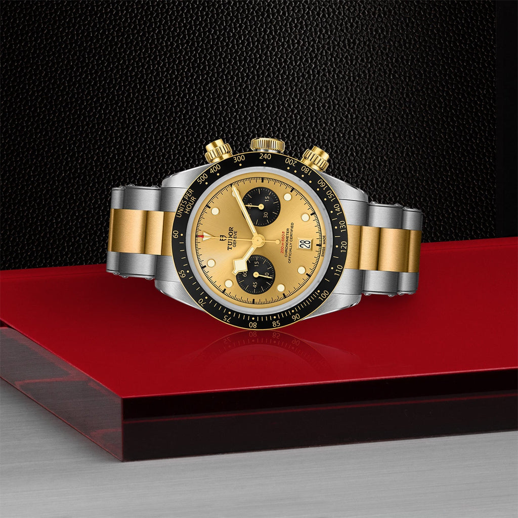TUDOR Black Bay Chrono S&G M79363N-0007