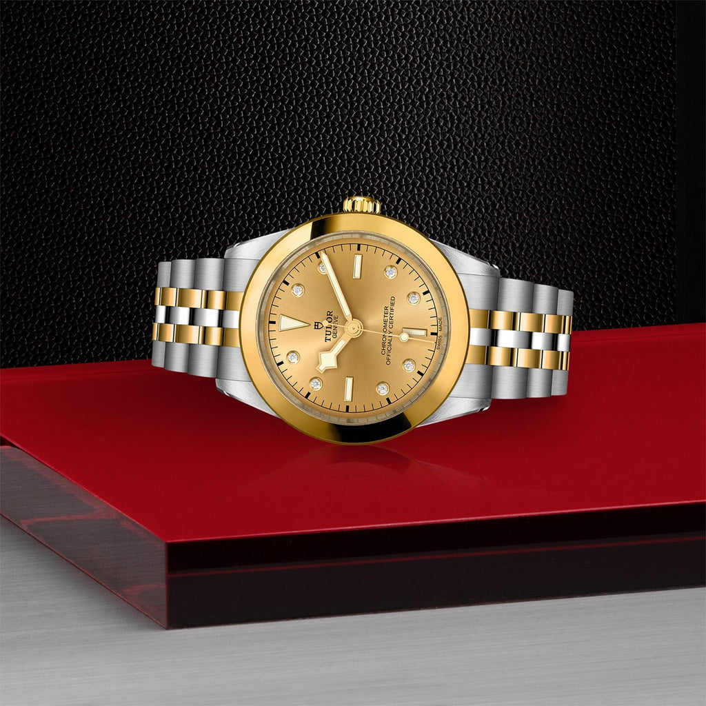 TUDOR Black Bay 39 S&G M79663-0008