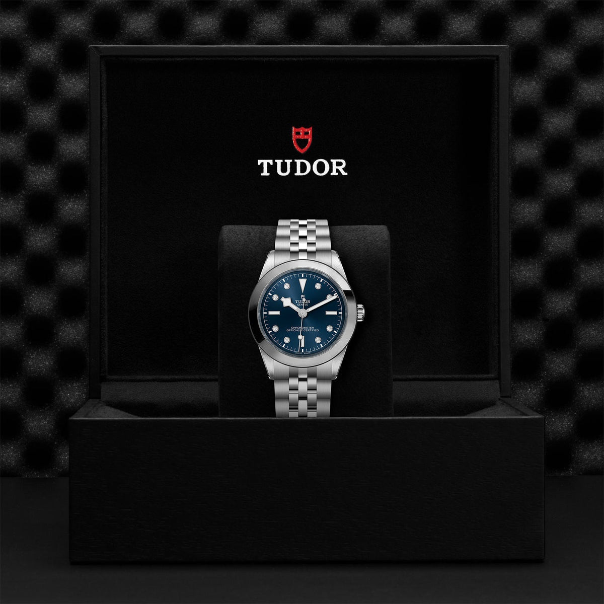 TUDOR Black Bay 39 M79660-0005