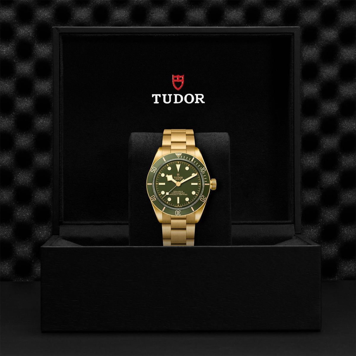 TUDOR Black Bay 58 18k M79018V-0006
