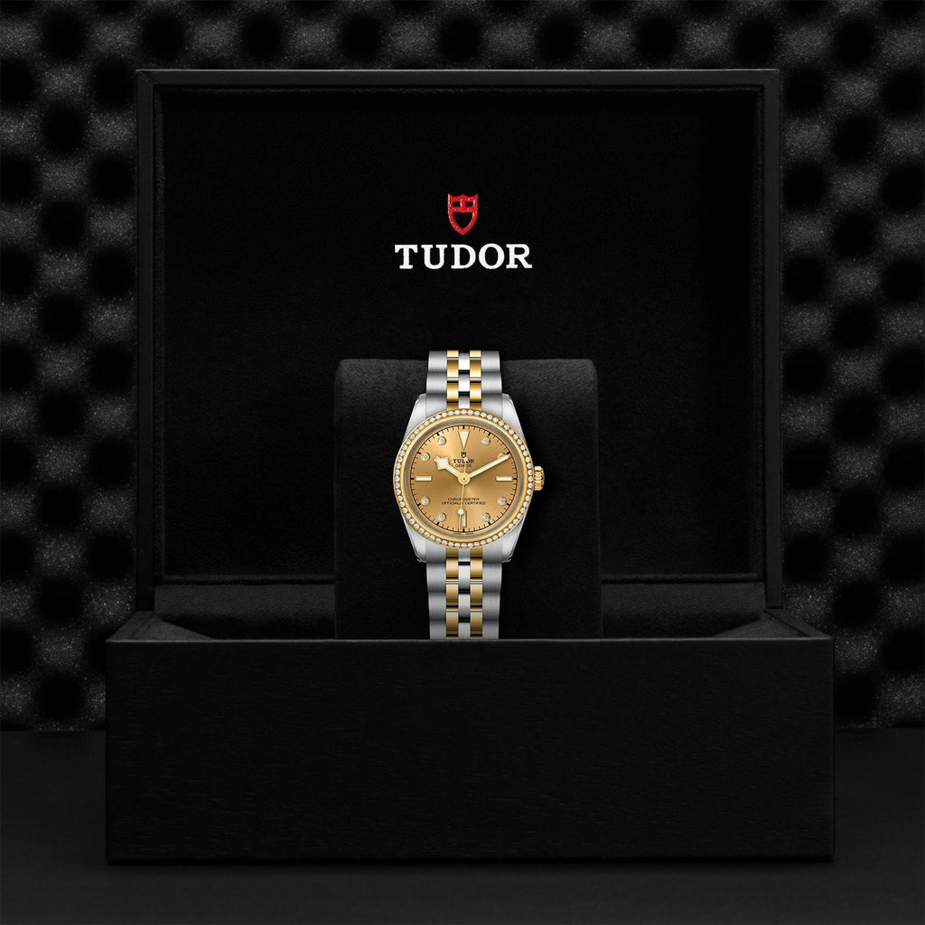 TUDOR Black Bay 31 S&G M79613-0007