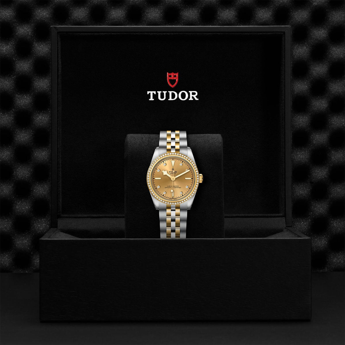 TUDOR Black Bay 31 S&G M79613-0007