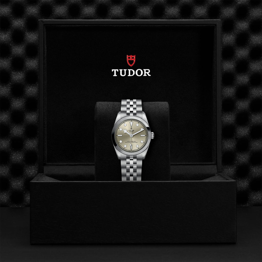 TUDOR Black Bay 31 M79600-0003