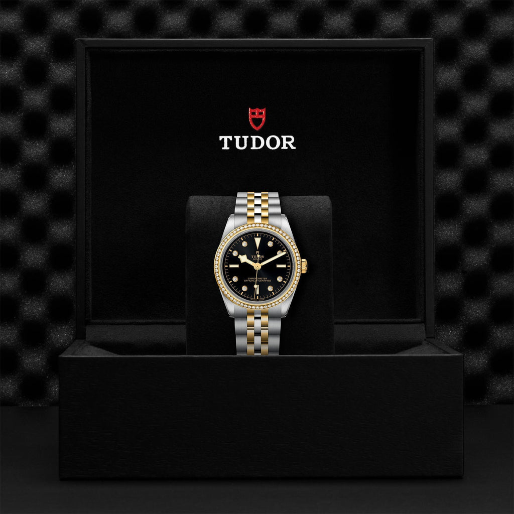 TUDOR Black Bay 36 S&G M79653-0005