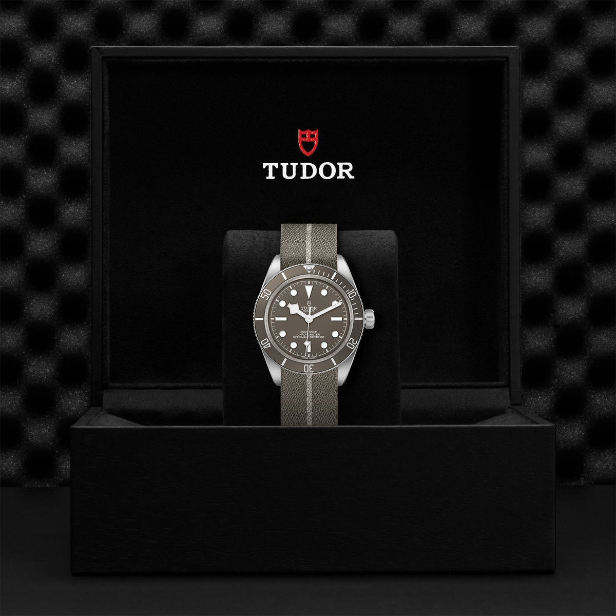TUDOR Black Bay Fifty-Eight 925 M79010SG-0002