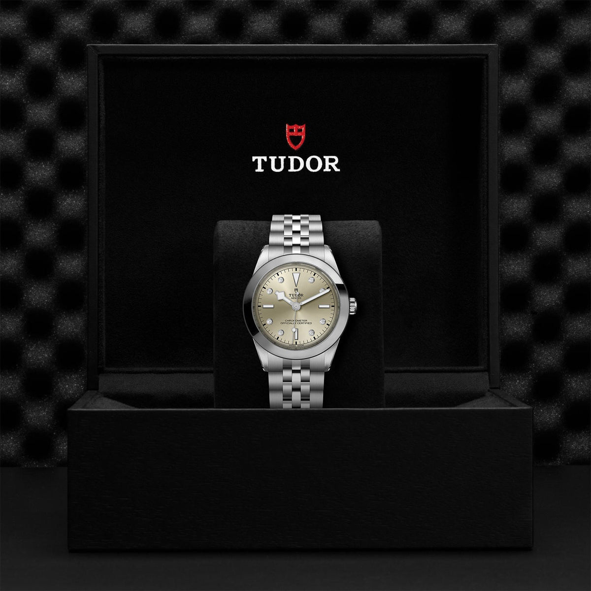 TUDOR Black Bay 39 M79660-0006