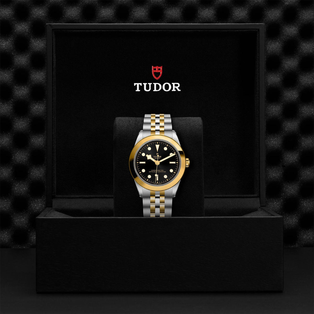 TUDOR Black Bay 39 S&G M79663-0001