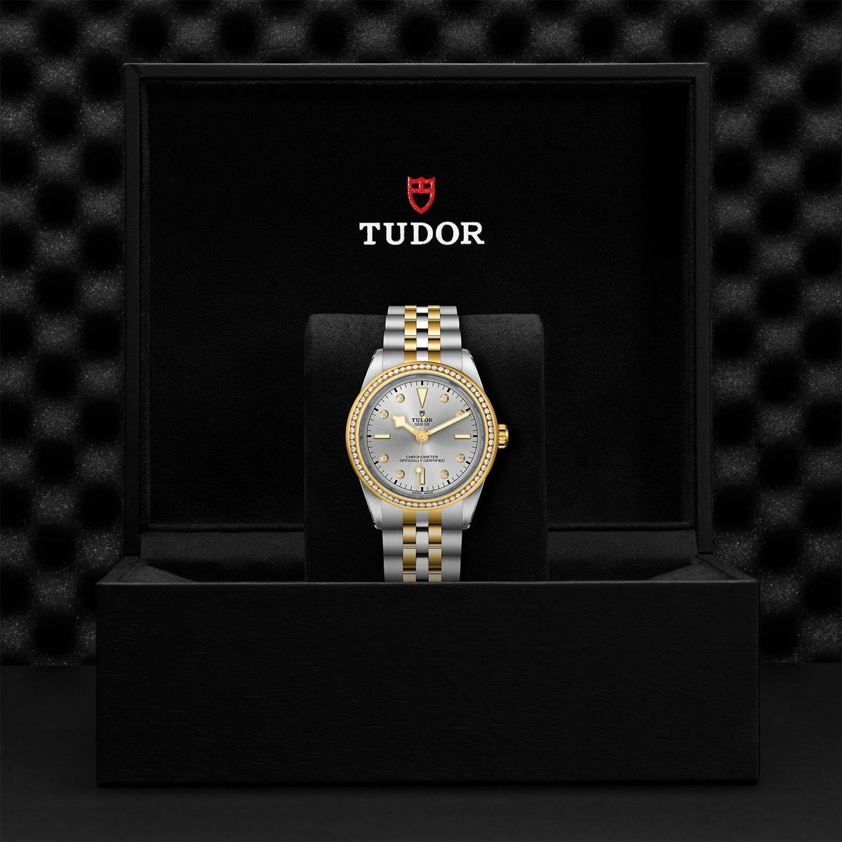 TUDOR Black Bay 39 S&G M79673-0006