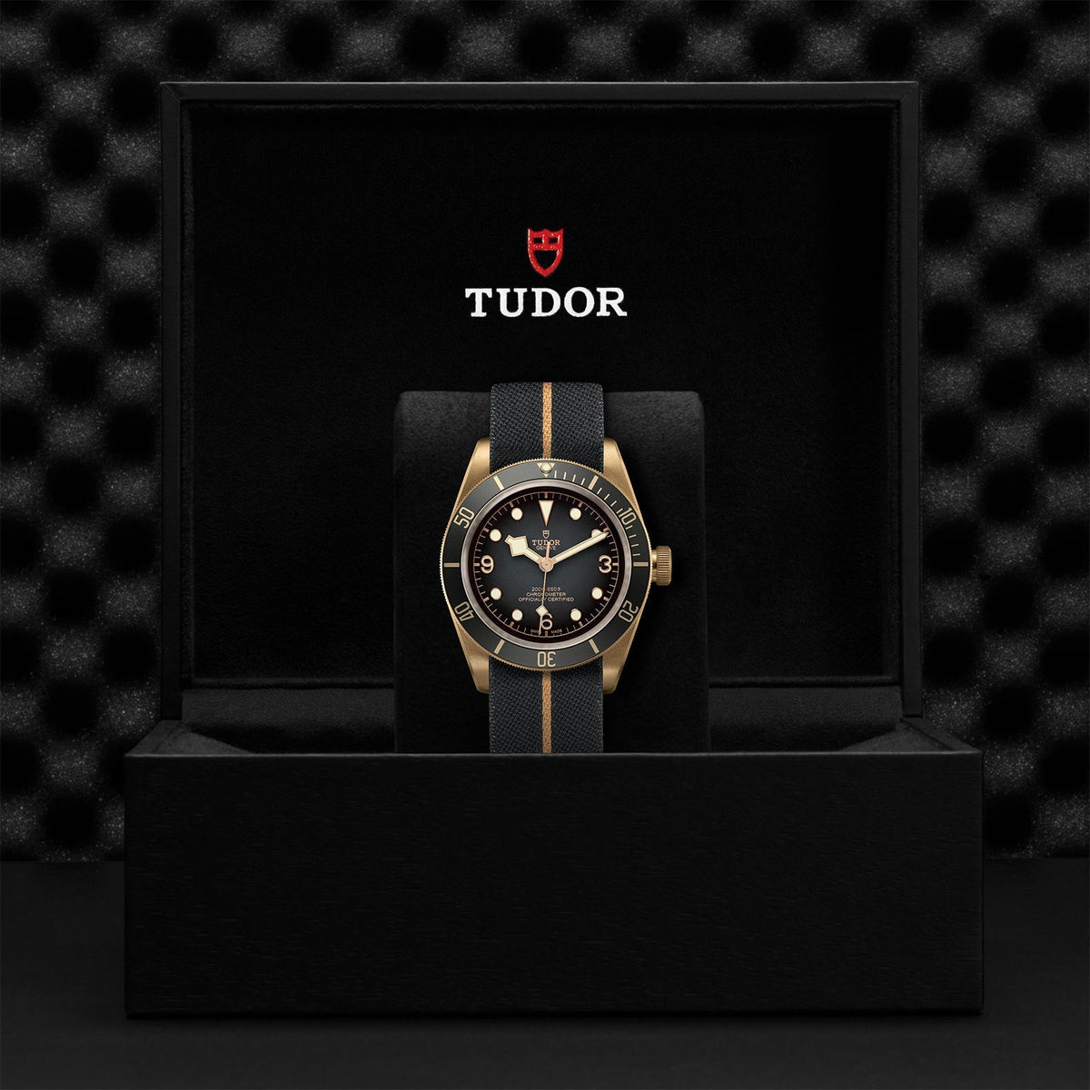 TUDOR Black Bay Bronze 43mm M79250BA-0002