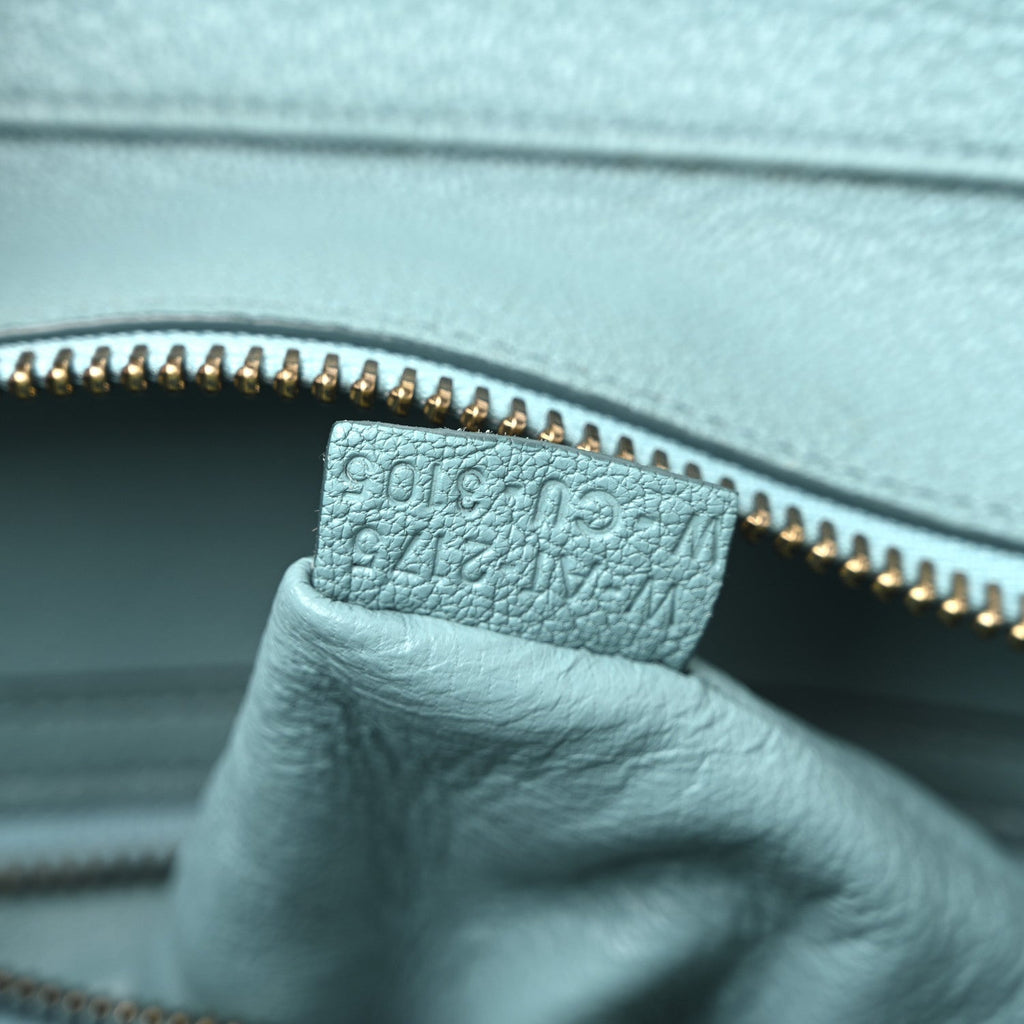 Goatskin Micro Luggage Antarctic