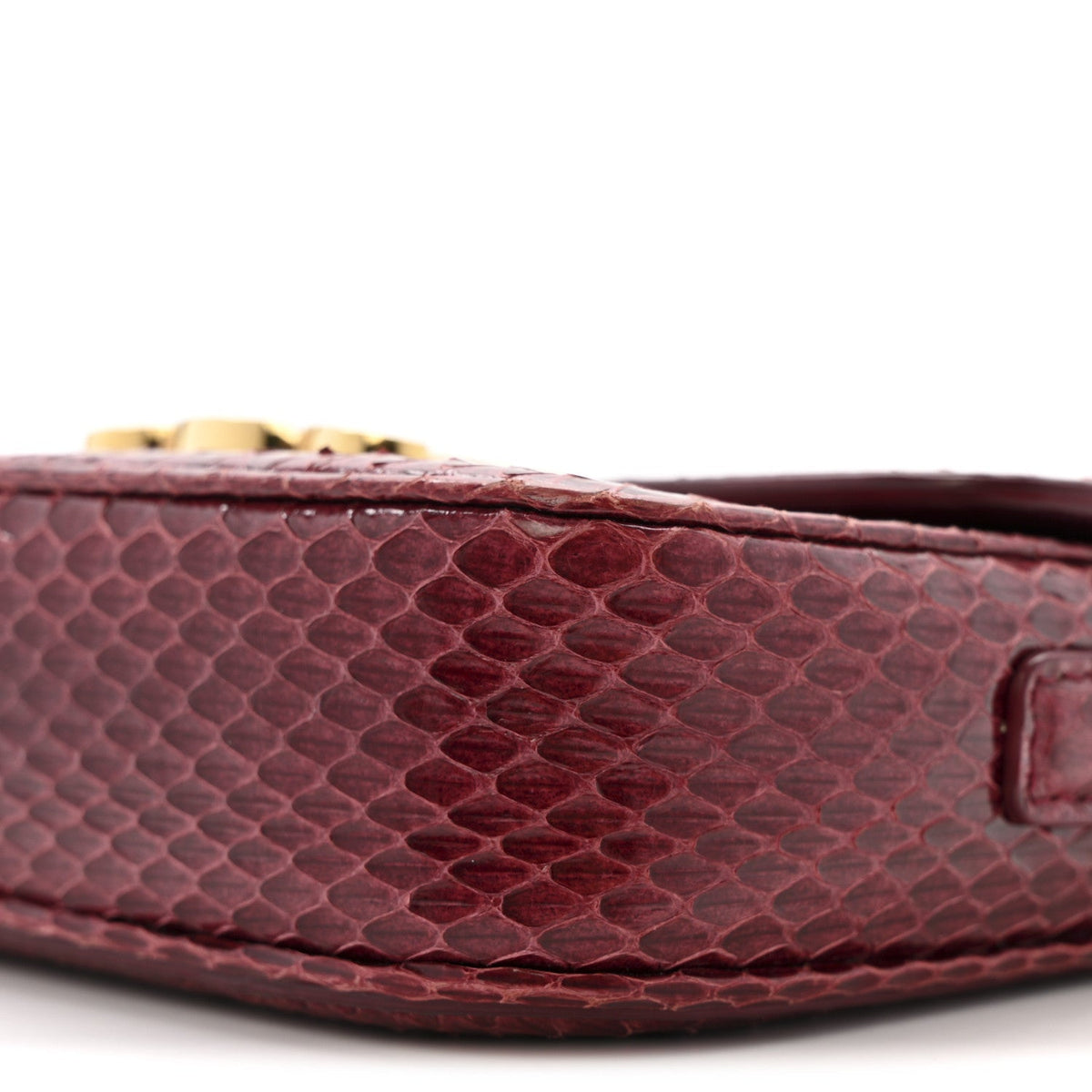 Watersnake Teen Triomphe Ruby