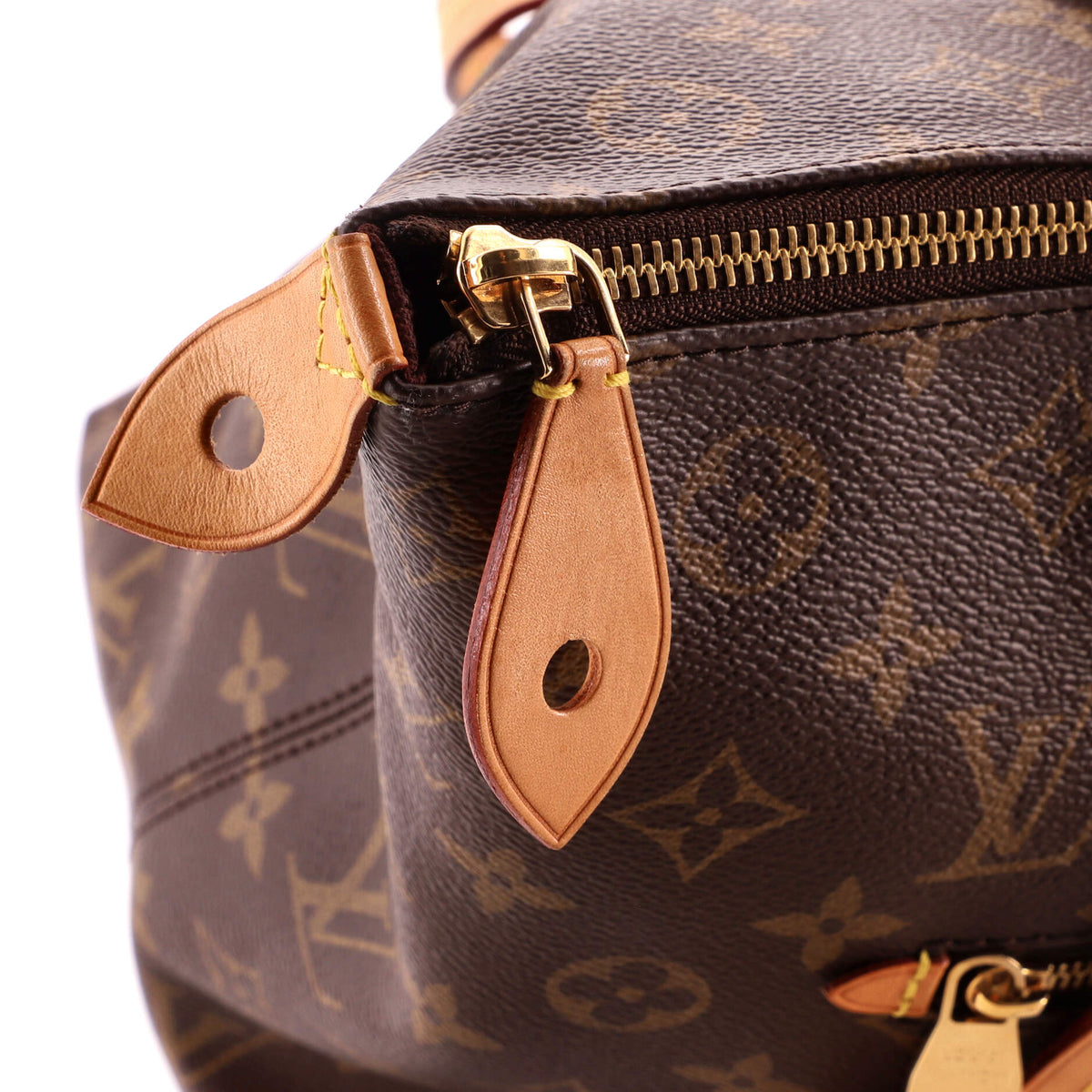 Iena Tote Monogram Canvas MM