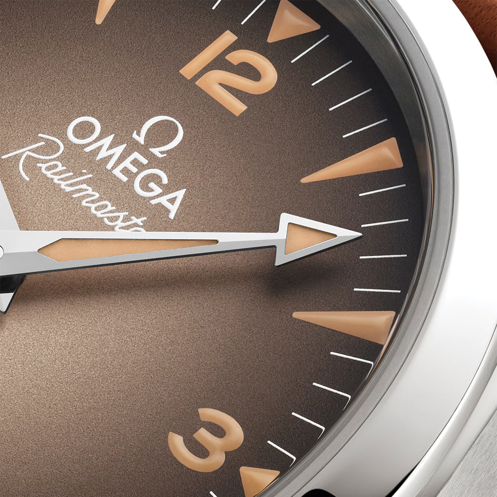 Seamaster Railmaster 38mm - Brown on Leather Strap