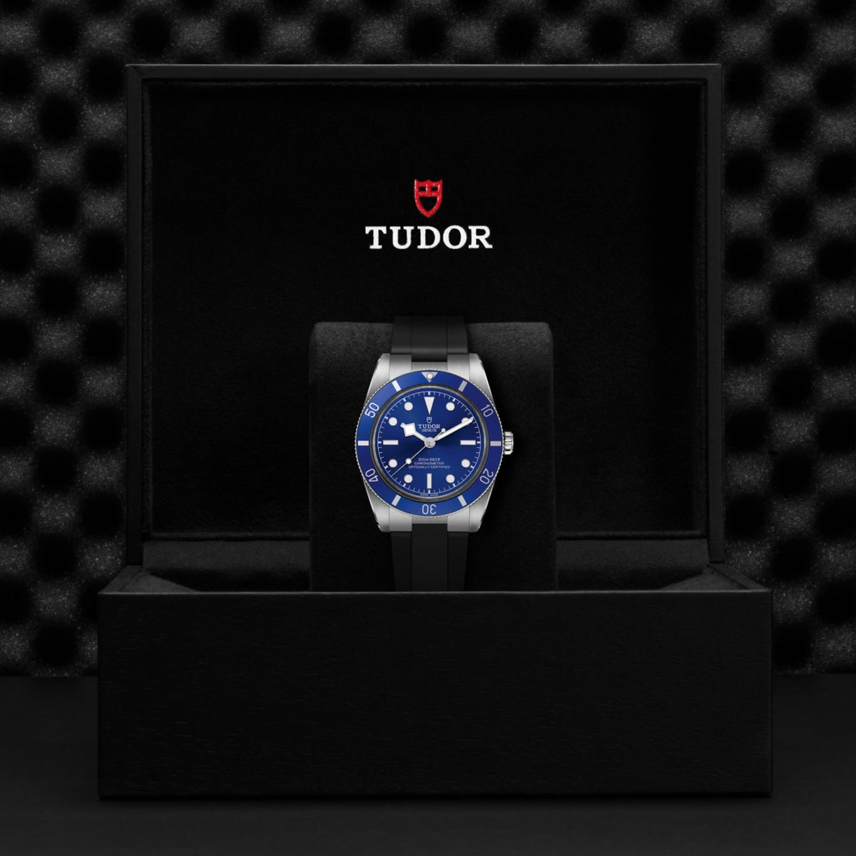 TUDOR Black Bay 54 M79000B-0002