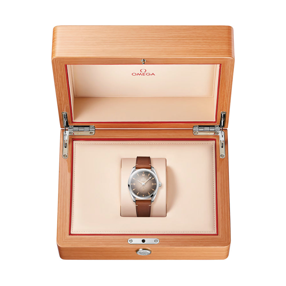 Seamaster Railmaster 38mm - Brown on Leather Strap