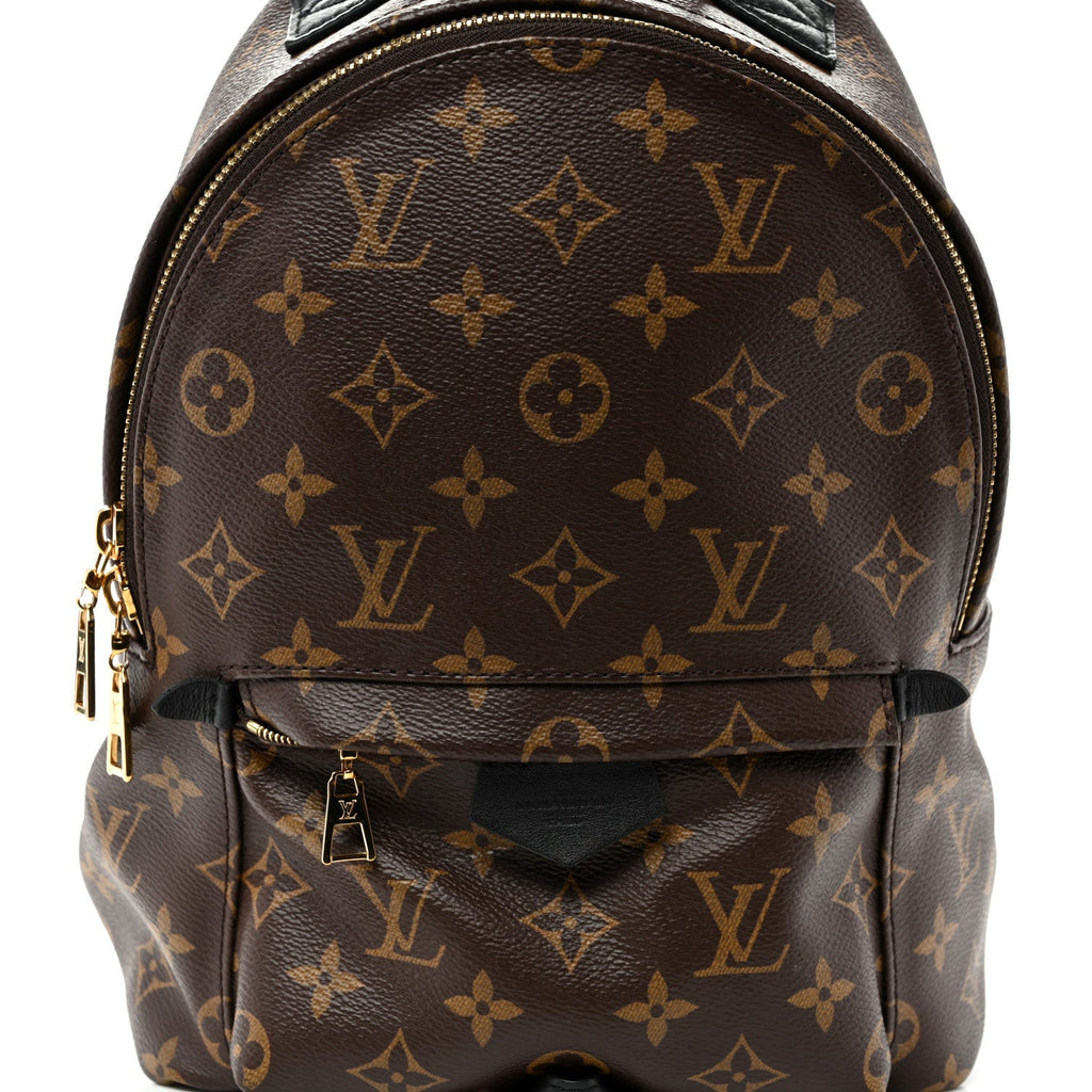 Monogram Palm Springs Backpack PM