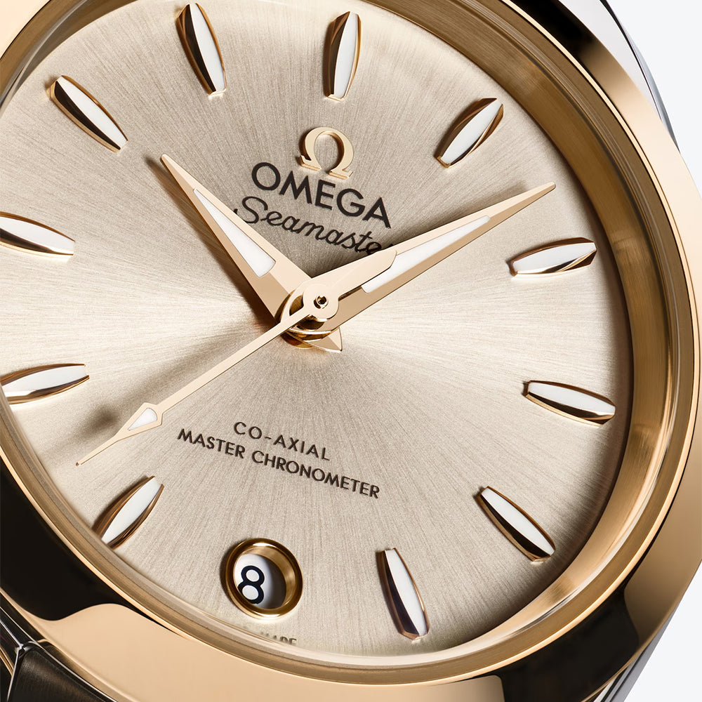 Seamaster Aqua Terra 150M Two-Tone 30mm - Silver on Bracelet