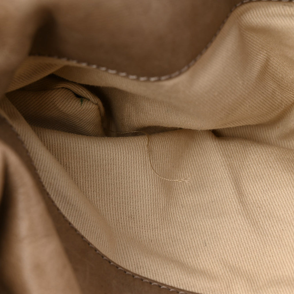 Snakeskin Calfskin Silverado Shoulder Bag Beige