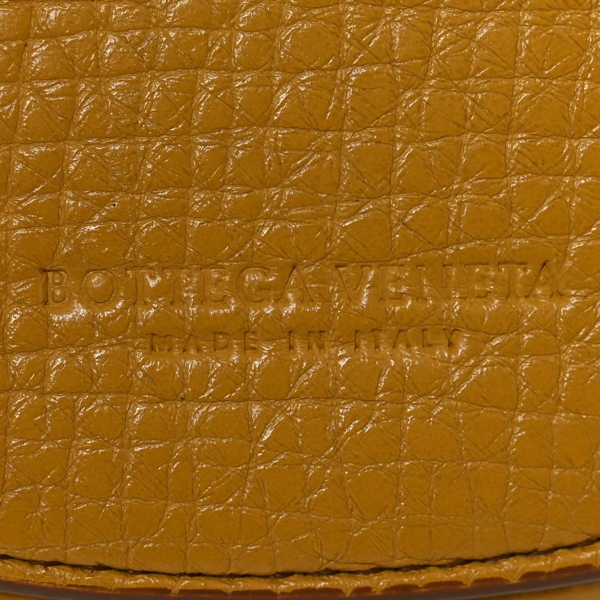 Palmellato Calfskin Rounded Belt Bag Butterscotch