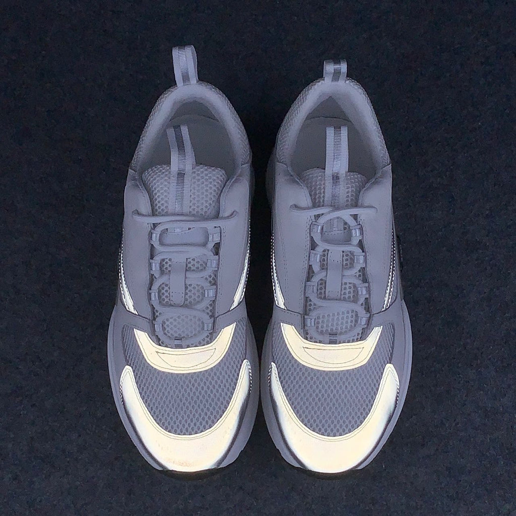 Dior B22 'White Grey'