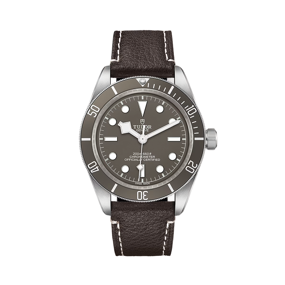 Black Bay 58 925 39mm - Taupe on Leather Strap
