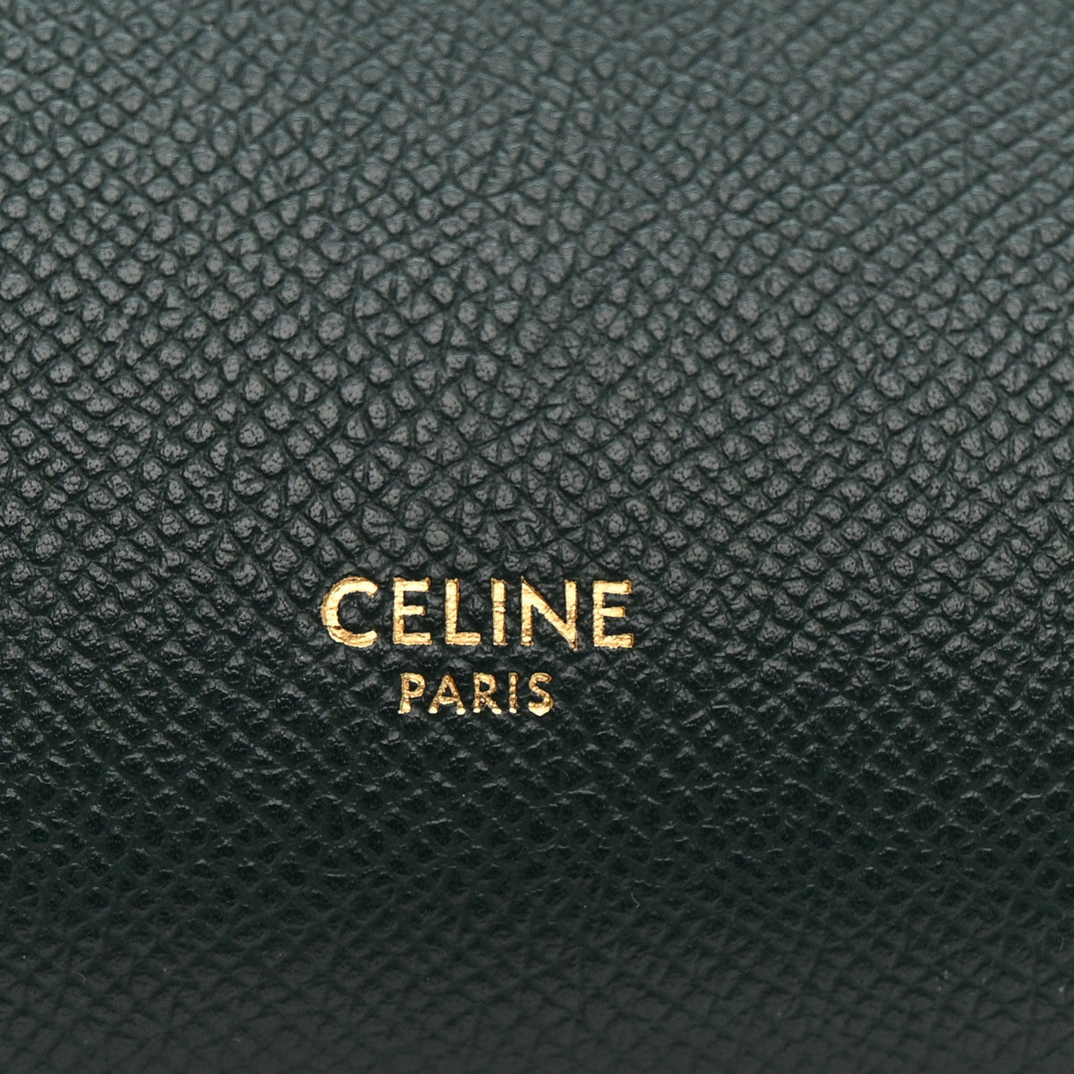 Grained Calfskin Mini Belt Bag Amazone