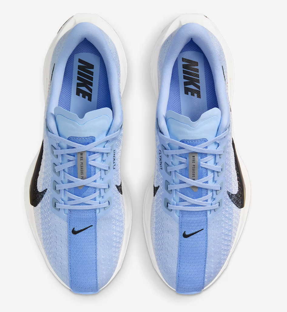 Women's Nike Pegasus Plus