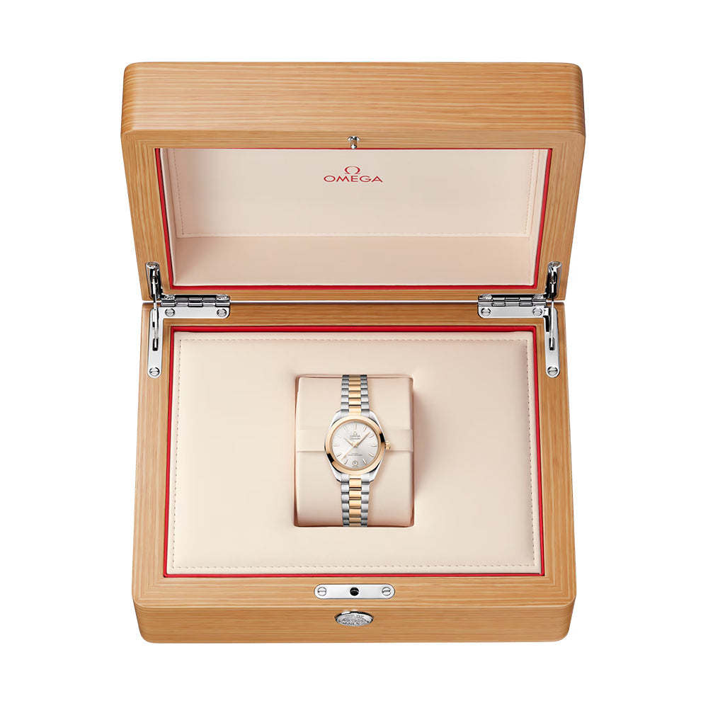 Seamaster Aqua Terra 150M Two-Tone 30mm - Silver on Bracelet