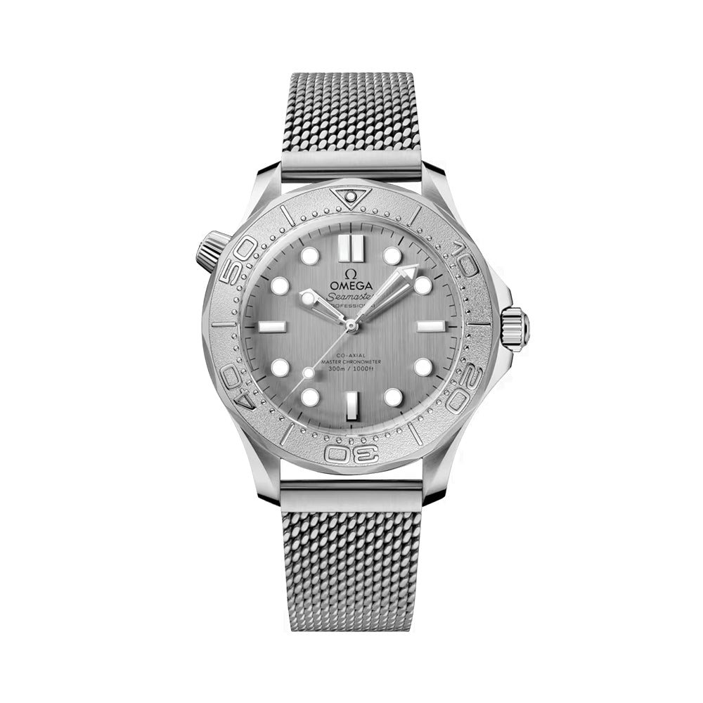 Seamaster Diver 300M Titanium Bezel 42mm - Grey on Bracelet
