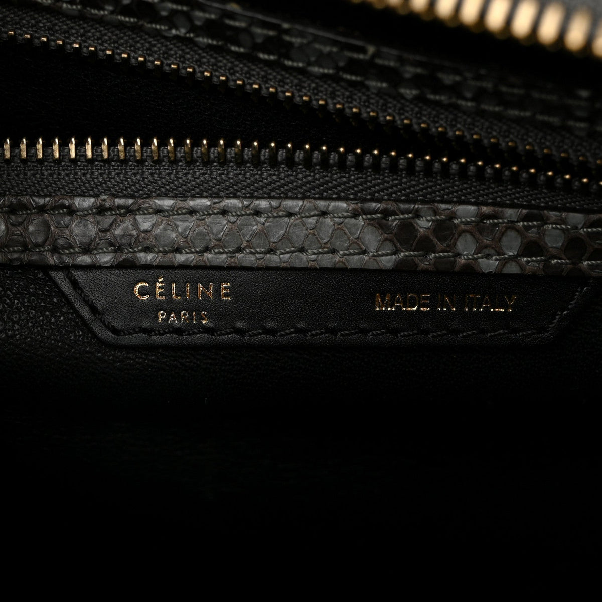 Snakeskin Mini Luggage Multicolor