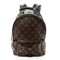 Monogram Palm Springs Backpack PM