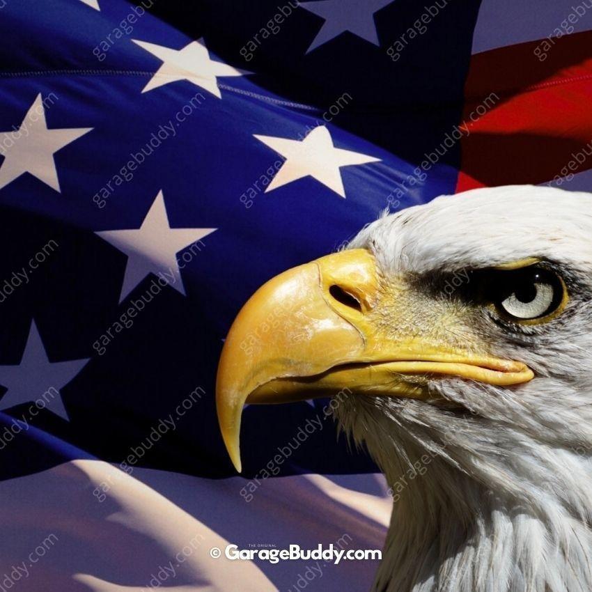 American Bald Eagle & US Flag | Patriotic Garage Door Cover