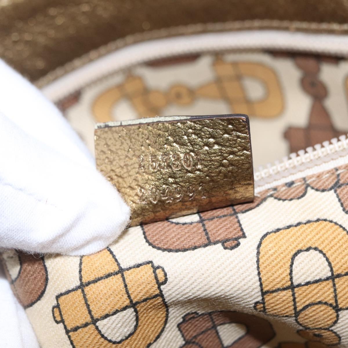 GUCCI Micro GG Canvas Shoulder Bag Nylon Outlet Brown Silver 257301 Auth ka6862